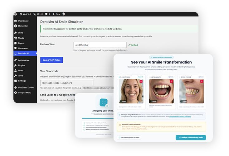 Dentisim WordPress plugin dashboard screenshot